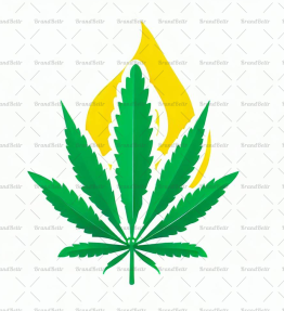 Cannabis Öl